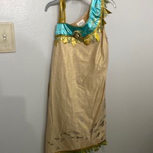 Disney Pocahontas Halloween Costume
